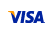 VISA Logo