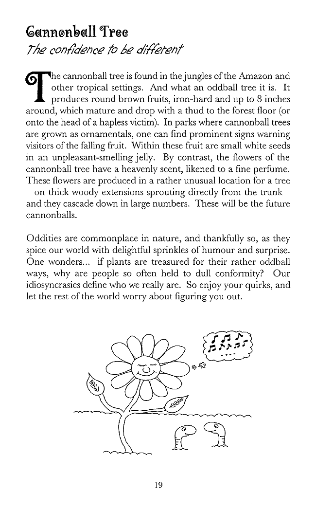 Excerpt Page 19