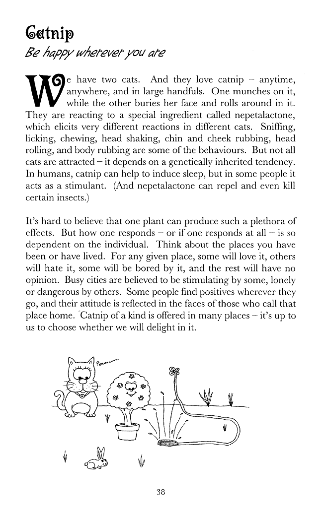 Excerpt Page 38